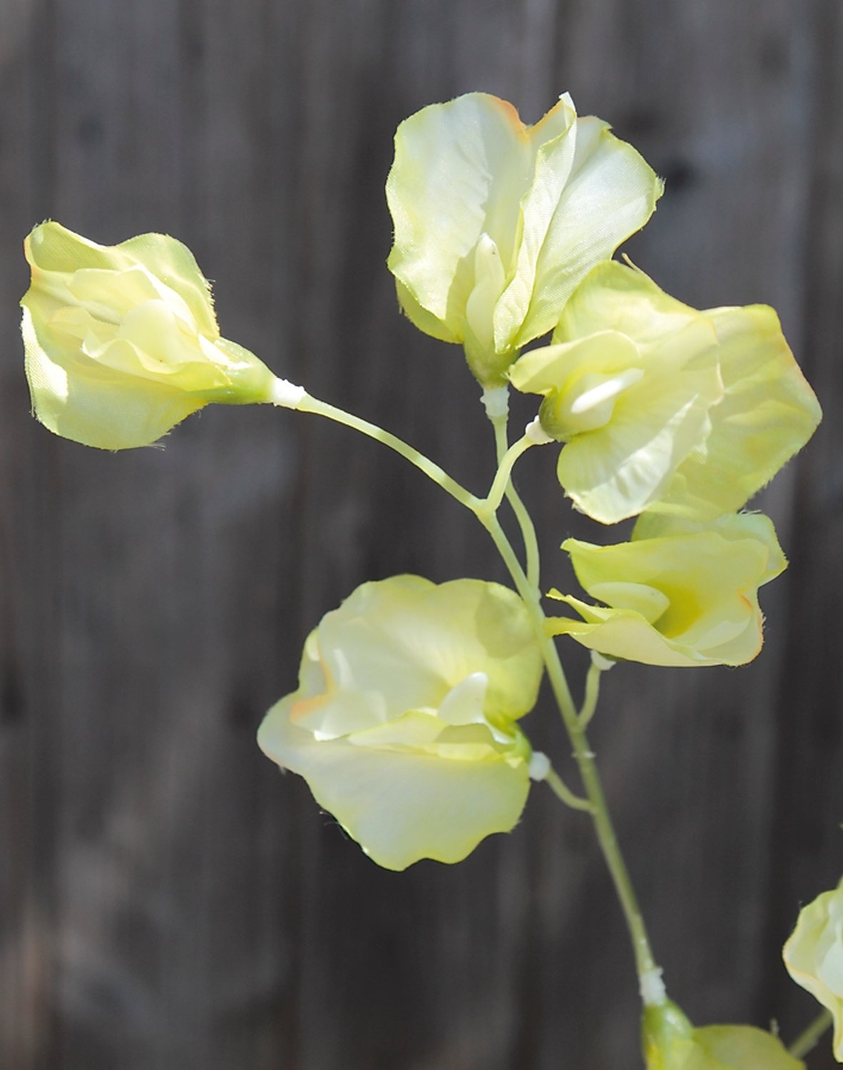 3181 005 a3 Вики искусственные, 4 штуки, 48 см, разноцветная миткалевая роза H-andreas  - Вид №4