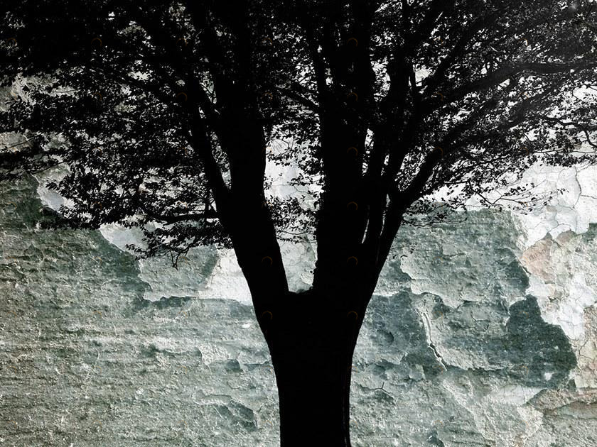 MOMENTI Художественная печать Crazy home paintings 061