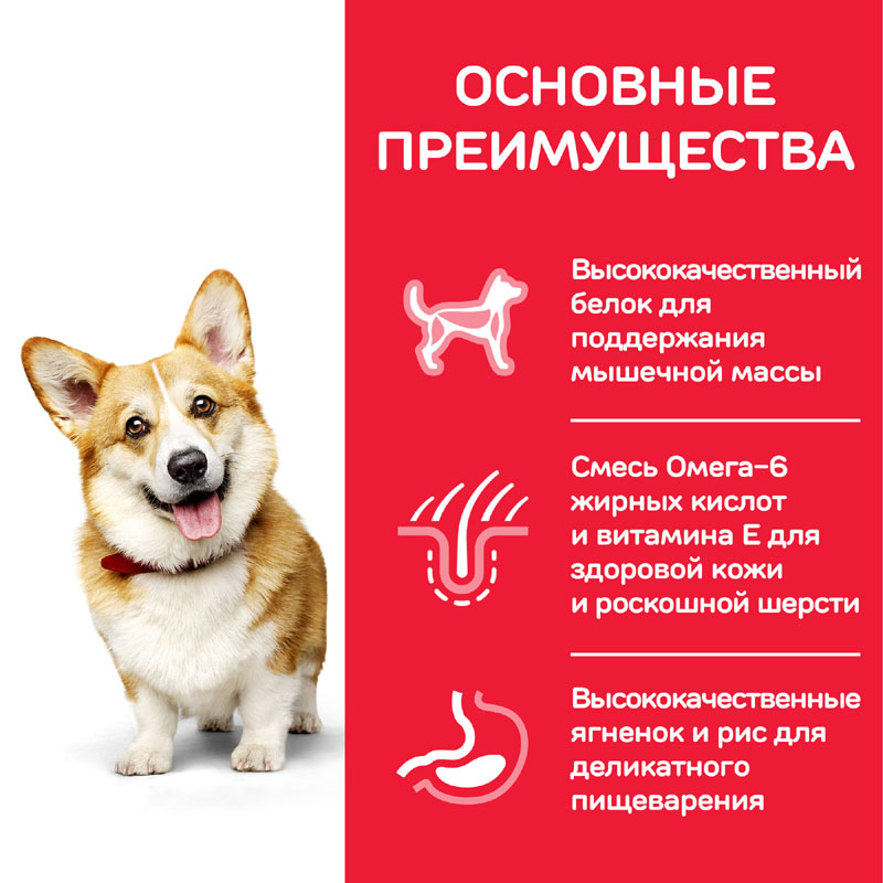 ПР0037501 Корм для собак HILL"S для миниатюрных пород, ягненок, рис сух. 300г Hill's  - Вид №3