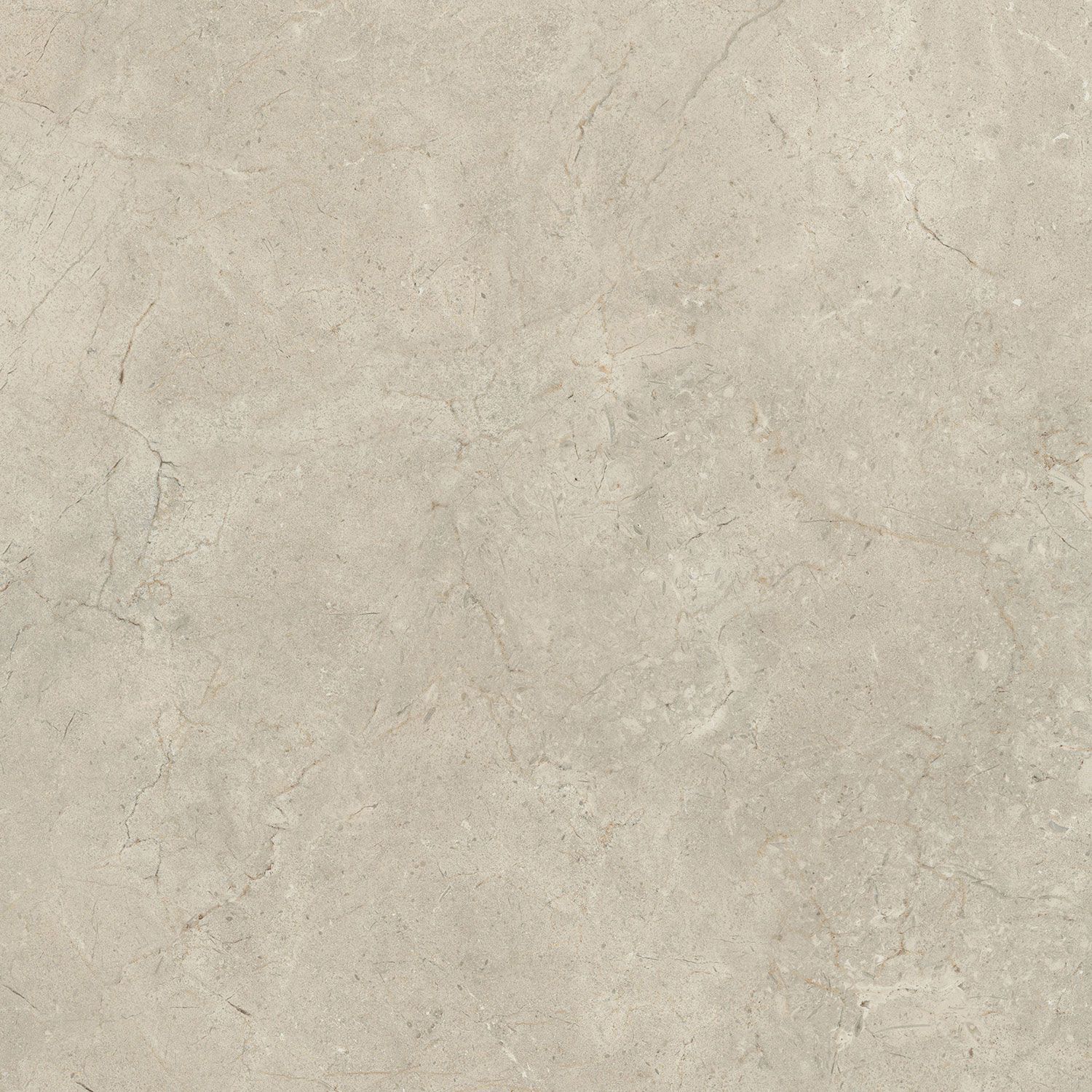 Пол / облицовка керамогранита с эффектом камня Italgraniti Calcis ARCH-00112215 - Вид №56