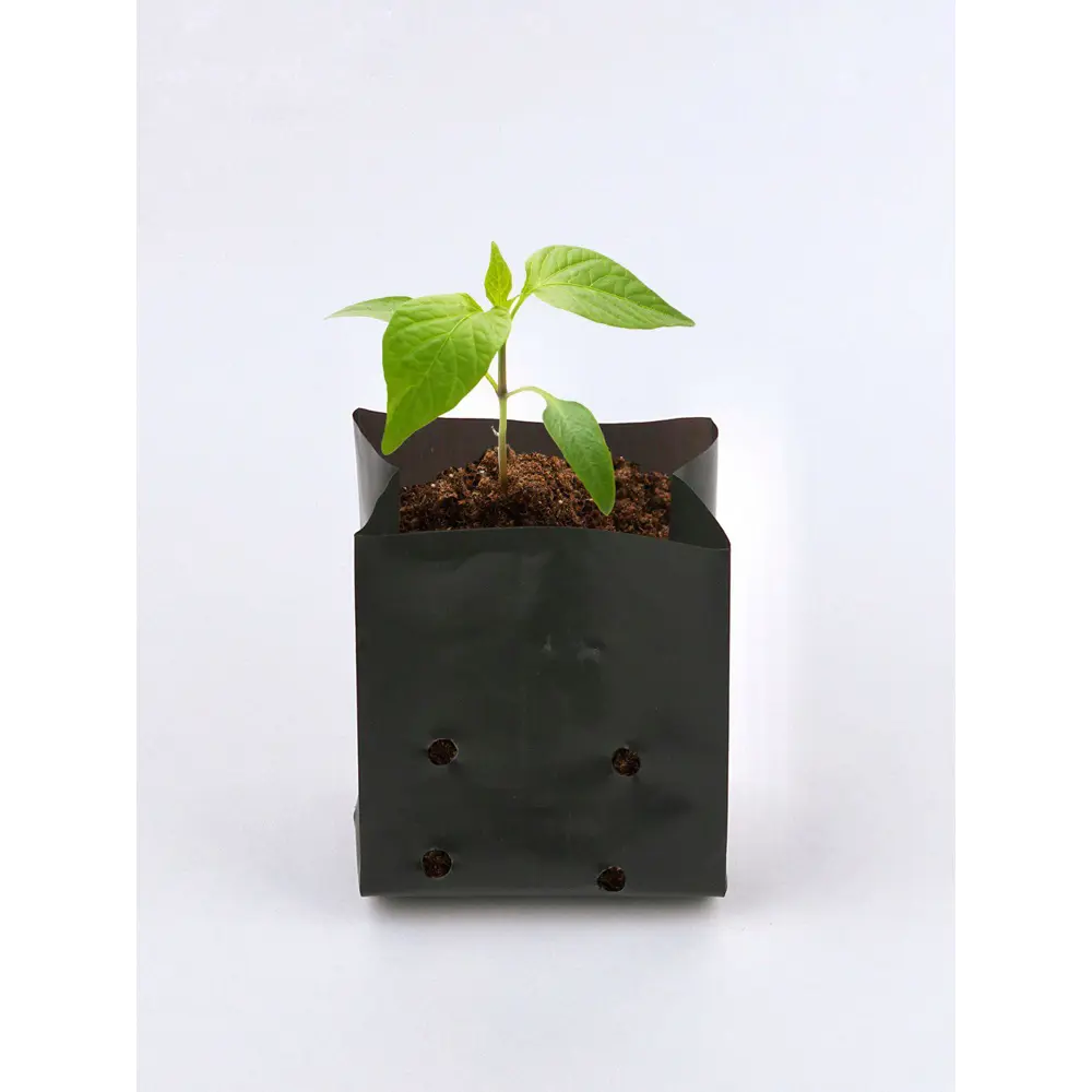 Santreyd Пакеты для рассады 0,5 л - 10 штук, многоразовые 89346807 STLM-0959026 - Вид №1