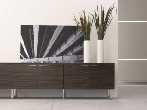 Sinetica Низкий офисный ящик для хранения из дерева с распашными дверцами