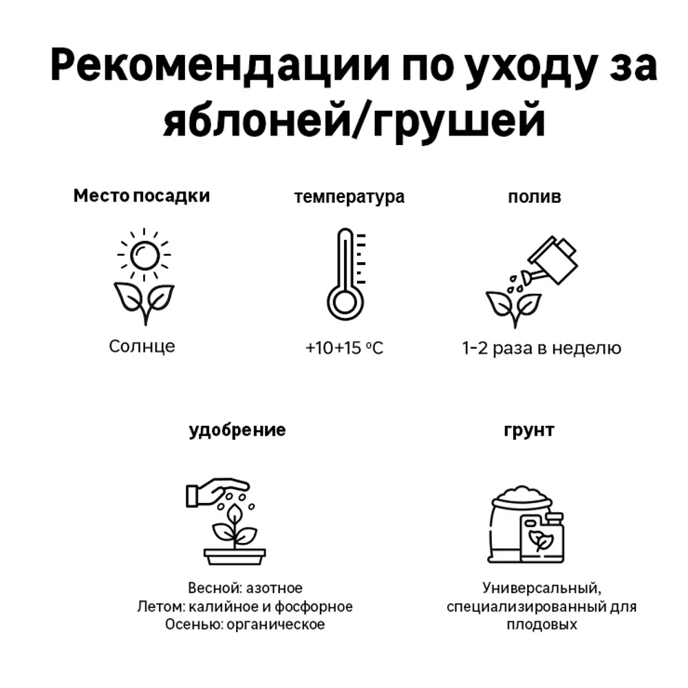 Груша Скороспелка из Мичуринска пакет h90 см 86544116 STLM-2011348 Santreyd  - Вид №2