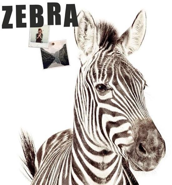 Groovy Magnets Магнитные обои Animal sun-id-1399879 - Вид №2