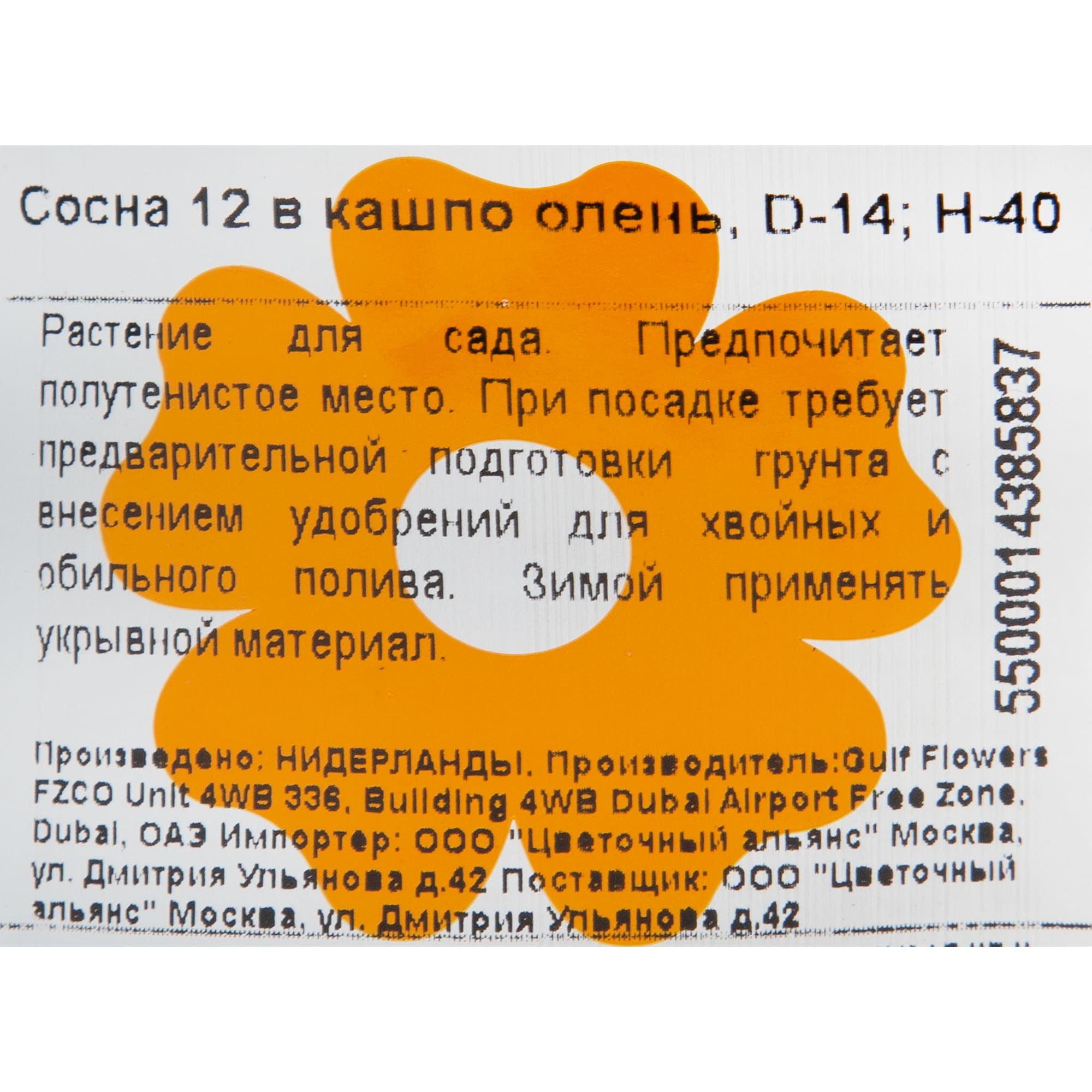 82769606 Сосна в кашпо Олень 14x40 см Santreyd  - Вид №3