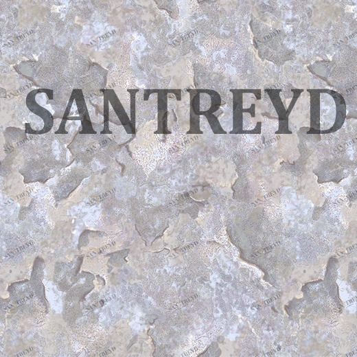 60027-05 Обои Erismann Millennium 6002705