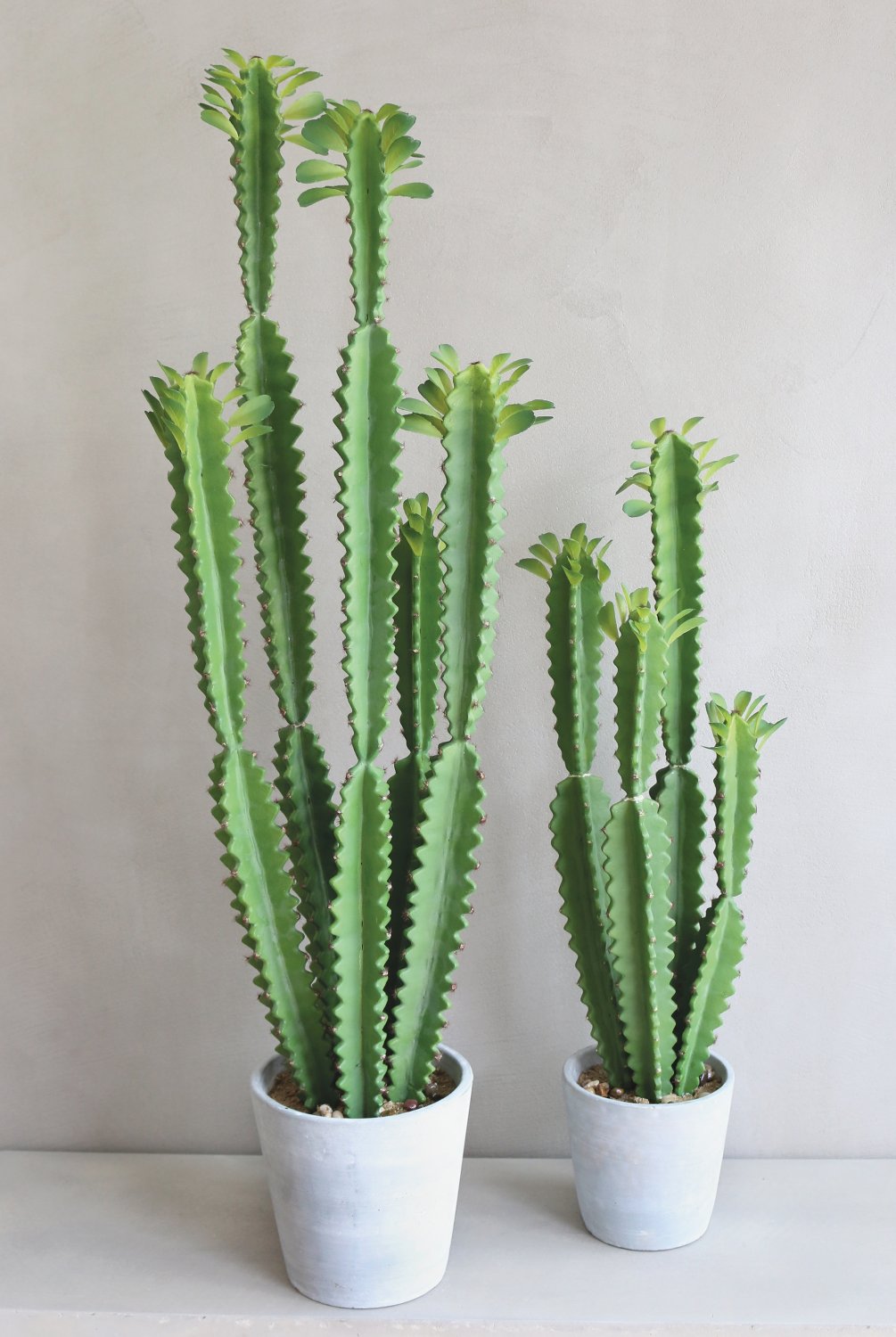 6062 883 a3 Молочай искусственный тригона, горшечный, 71 см, зеленый H-andreas  - Вид №6