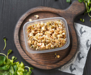 9713 Проростки чечевицы зеленой Вкусляндия