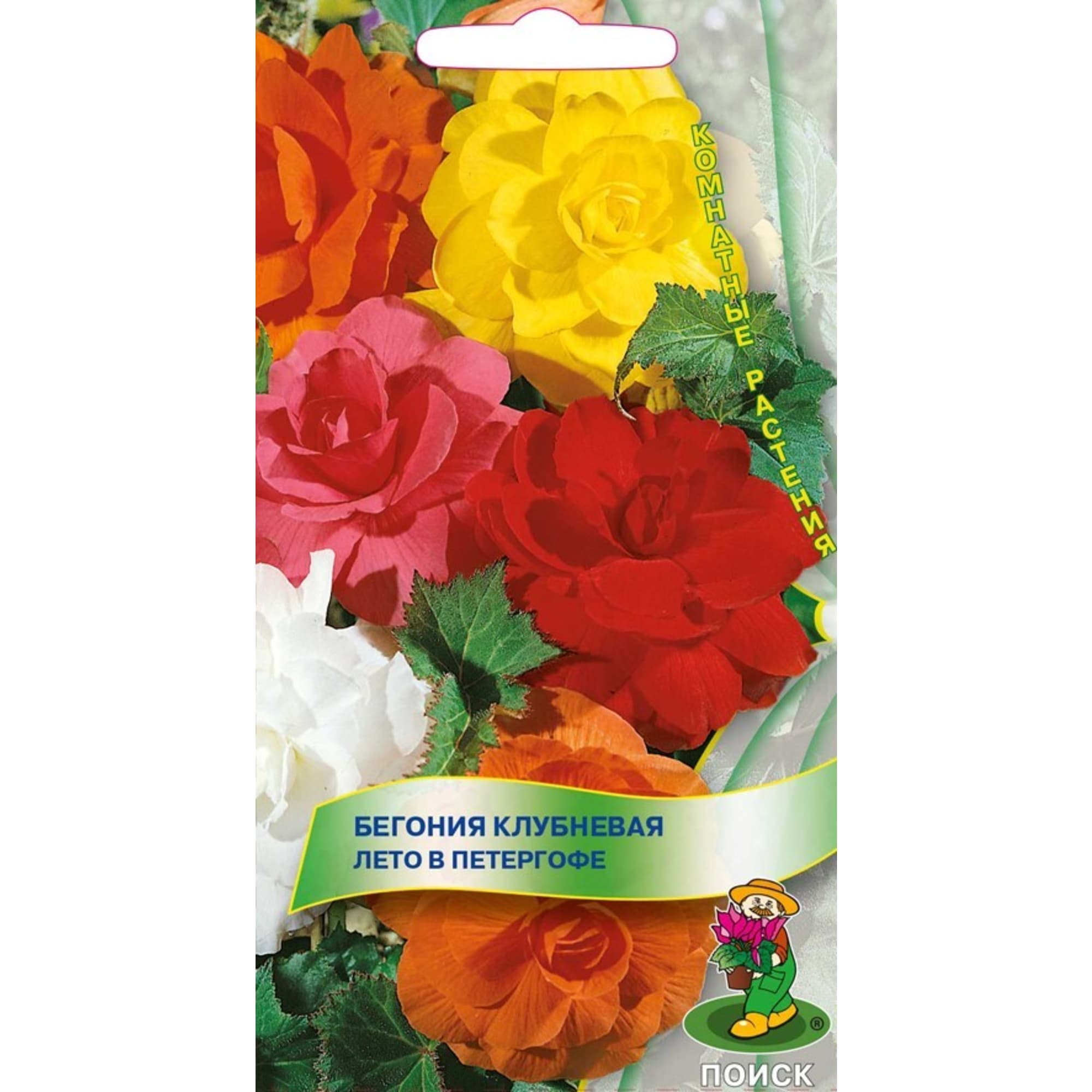 82984194 Семена Бегония клубневая «Лето в Петергофе» Santreyd 