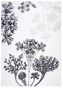 The NapKing Льняное кухонное полотенце Stentor