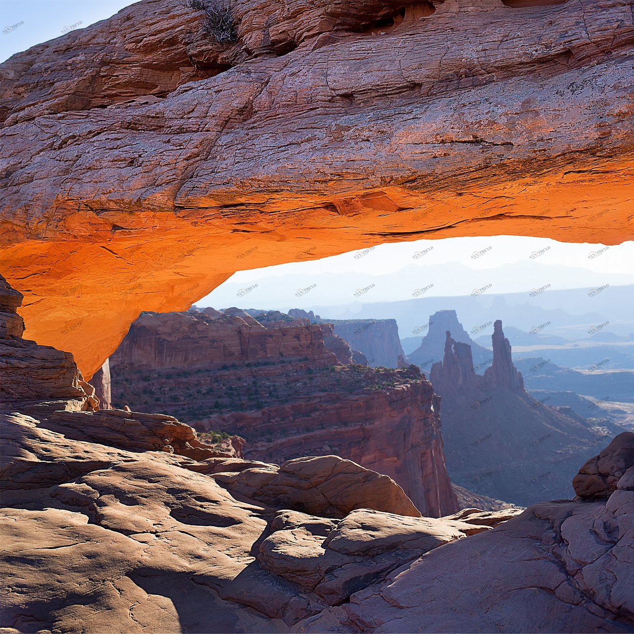 Панно на стену пластификация "Таинственный замок" 70х70 см PANKOVSKY STUDIO ПЛАСТИФИКАЦИЯ 015894 Коричневый;оранжевый;синий;разноцветный 