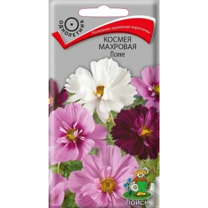 Космея махровая Психе от ПОИСК - ажурное кружево для вашего сада 89401232