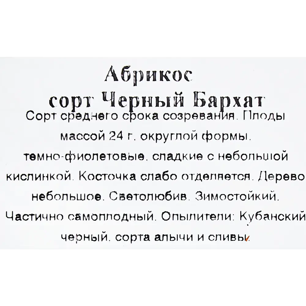 Абрикос «Чёрный Бархат» в коробке 82155335 STLM-2083902 Santreyd  - Вид №1