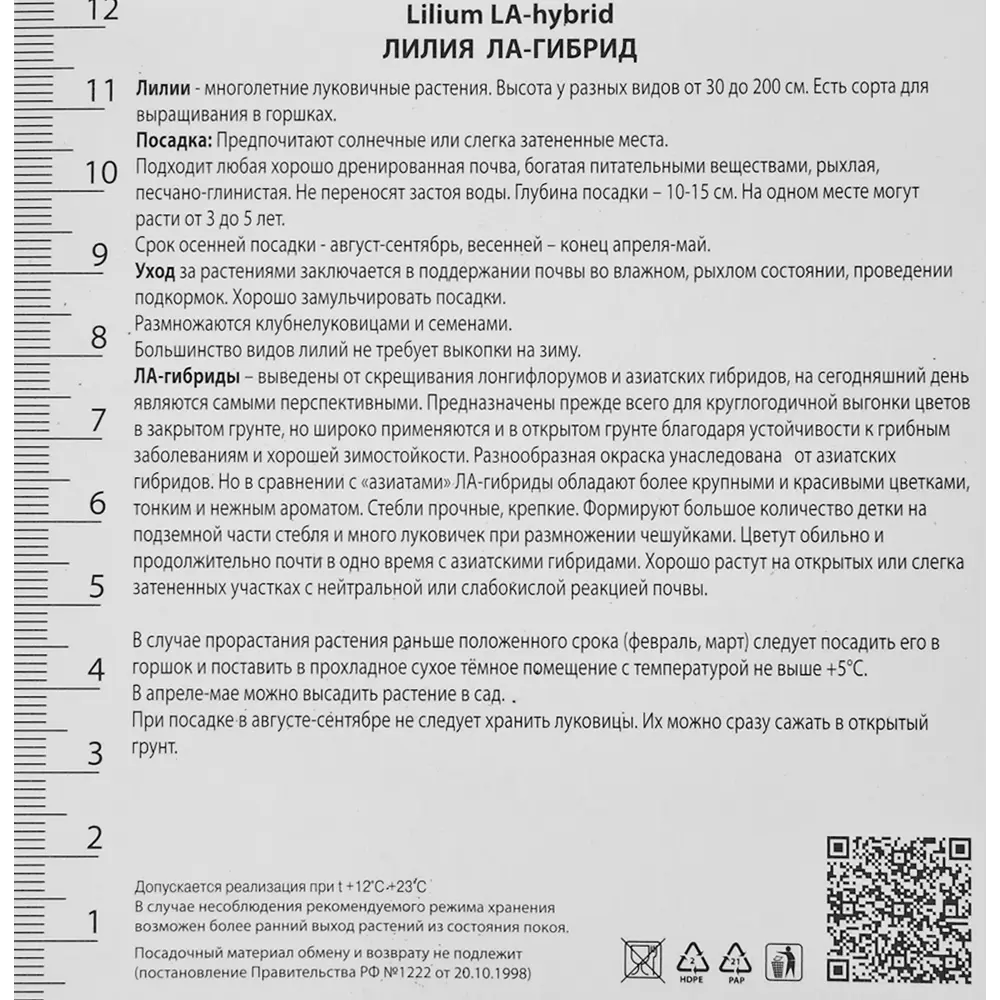 Корневище лилия ла-гибрид Мираж красный 82693454 STLM-2194278 Santreyd  - Вид №2