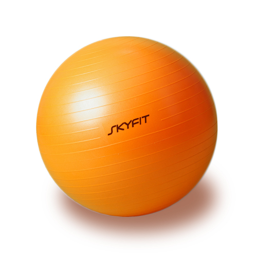 Skyfit 65 см гимнастический мяч SkyFit sun-id-2068604
