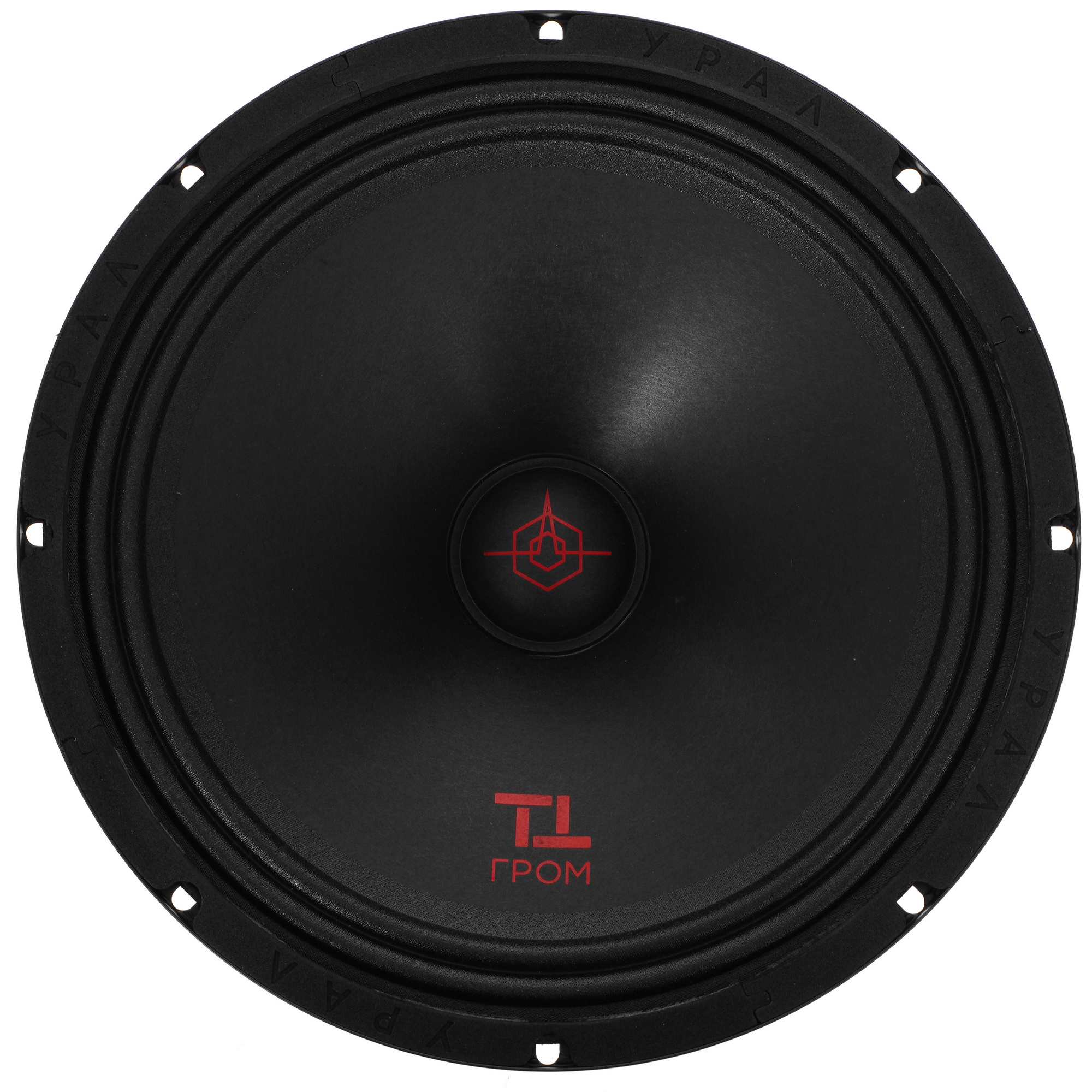 9958174 Мидбасовая акустическая система Ural ТТ 250 ГРОМ STDN-0084400 - Вид №1