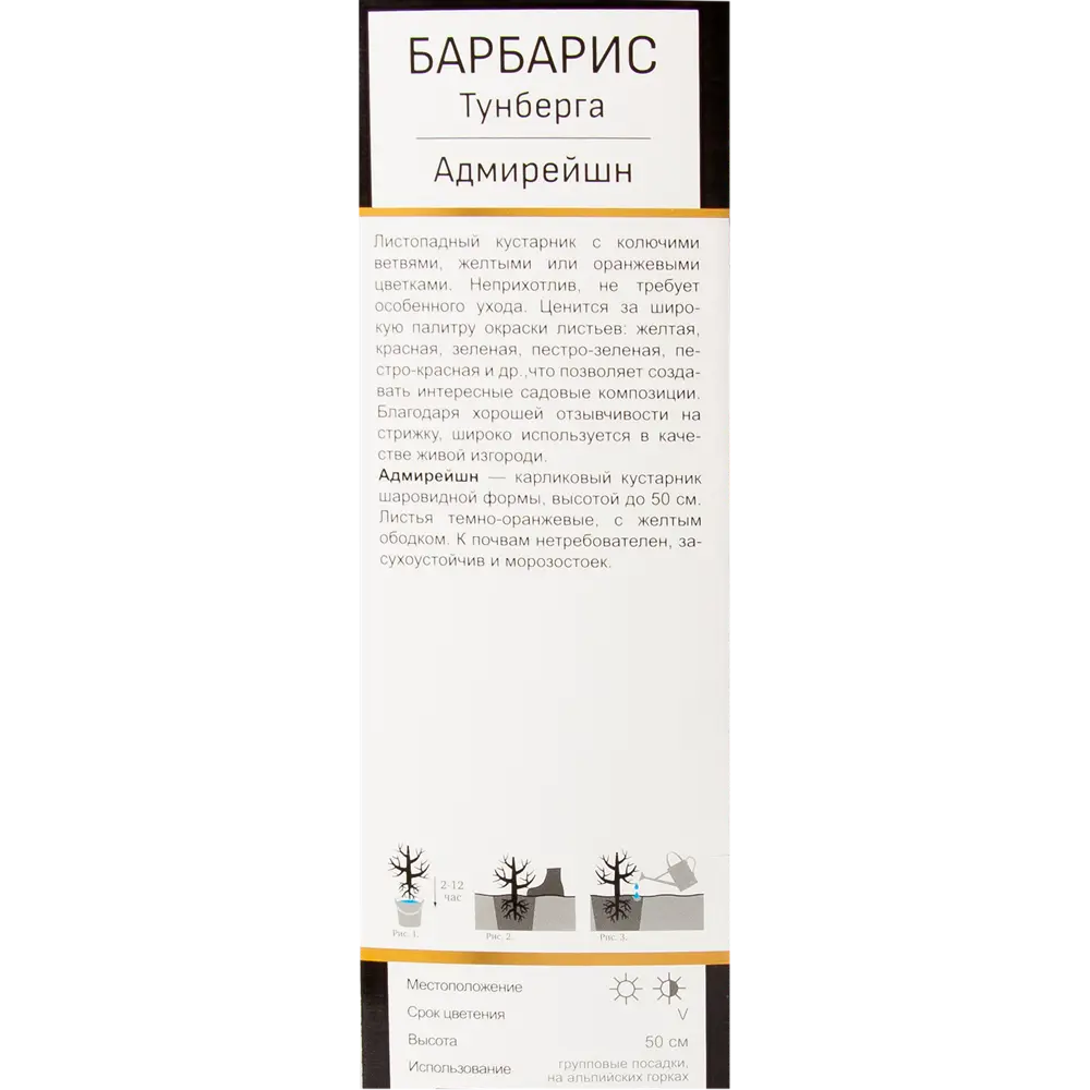 Барбарис Тунберга Адмирейшн в тубе Поиск инвест 82528941 STLM-2068889 Santreyd  - Вид №2