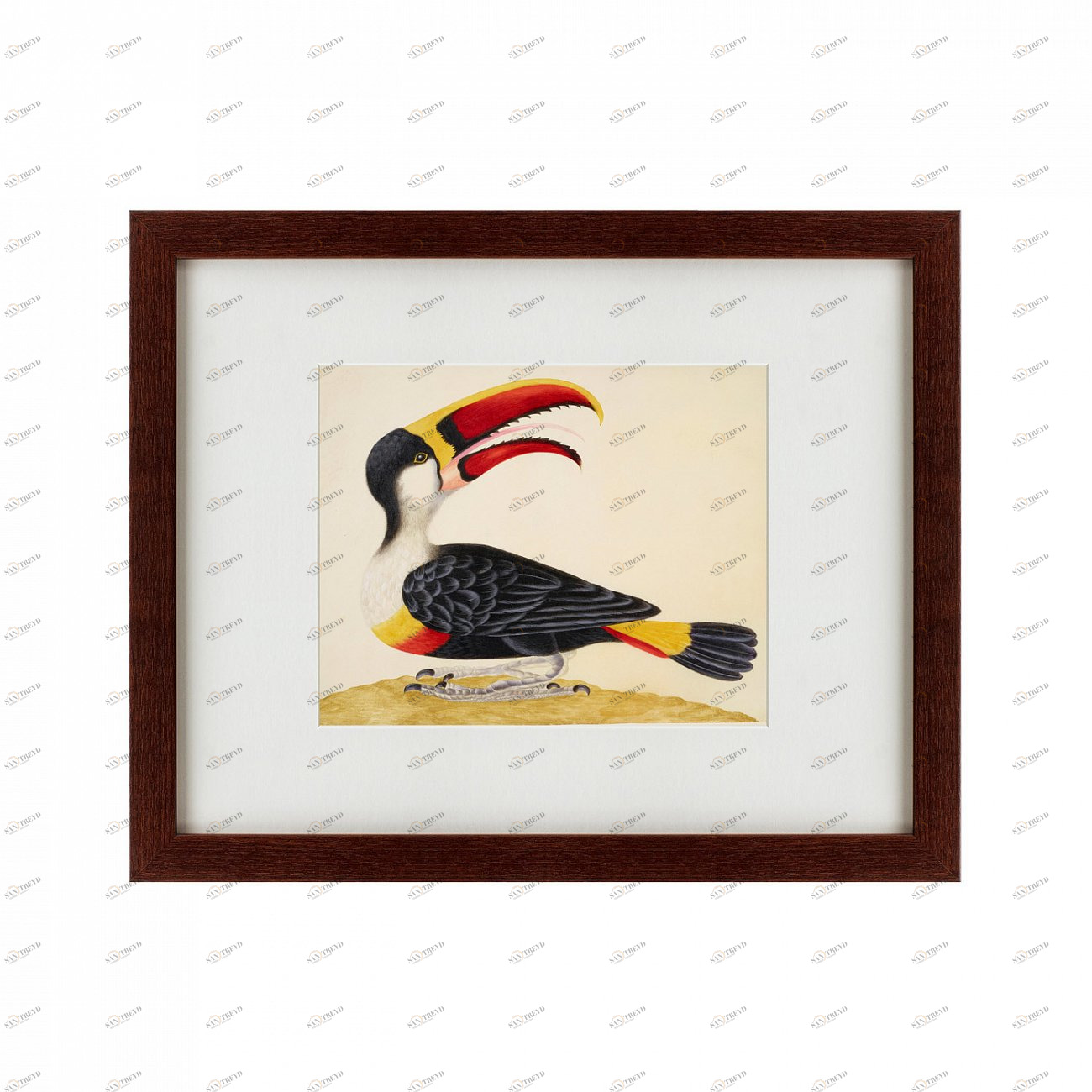 Картина: White-Throated Toucan, 1716 КАРТИНЫ В КВАРТИРУ  135727 Разноцветный 