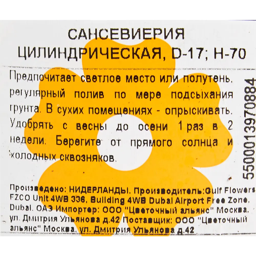 Сансевиерия цилиндрическая 17x70 см 82850381 STLM-2137756 Santreyd  - Вид №2
