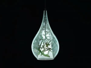 Cangini & Tucci Подвесной светильник из дутого стекла Zoe van gogh