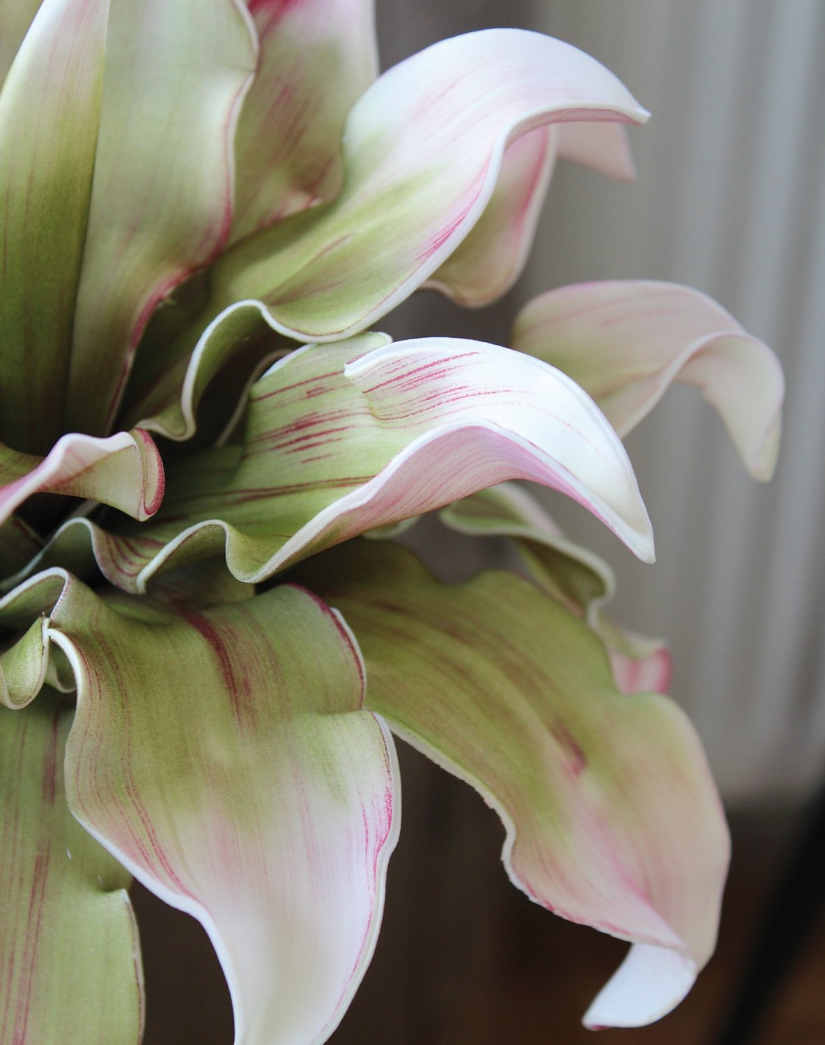 7898 508 a3 Искусственный протея мягкий цветок, 38 см, розово-зеленый H-andreas  - Вид №1