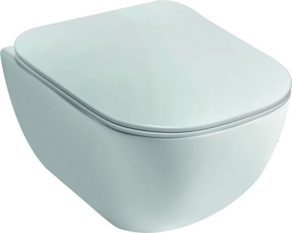 FV00500001 Подвесной унитаз настенный Белый Disegno Ceramica  Италия 