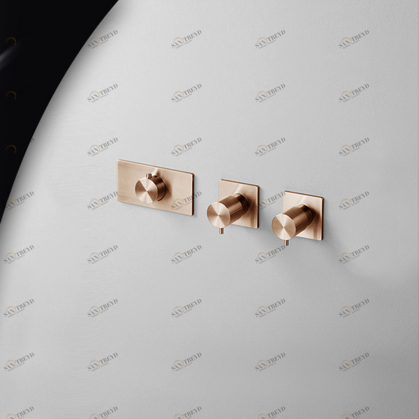 Термостат для душа AICO TER55R розовое золото Radomonte