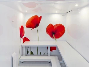 KLAFS Турецкая баня For professionals