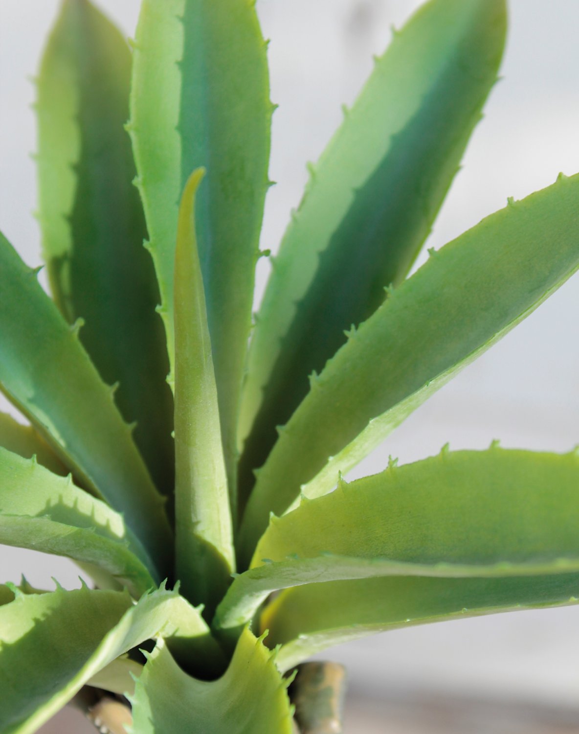 6495 883 a3 Искусственная агава на палочке, 24 см, Ø 26 см, зеленая H-andreas 