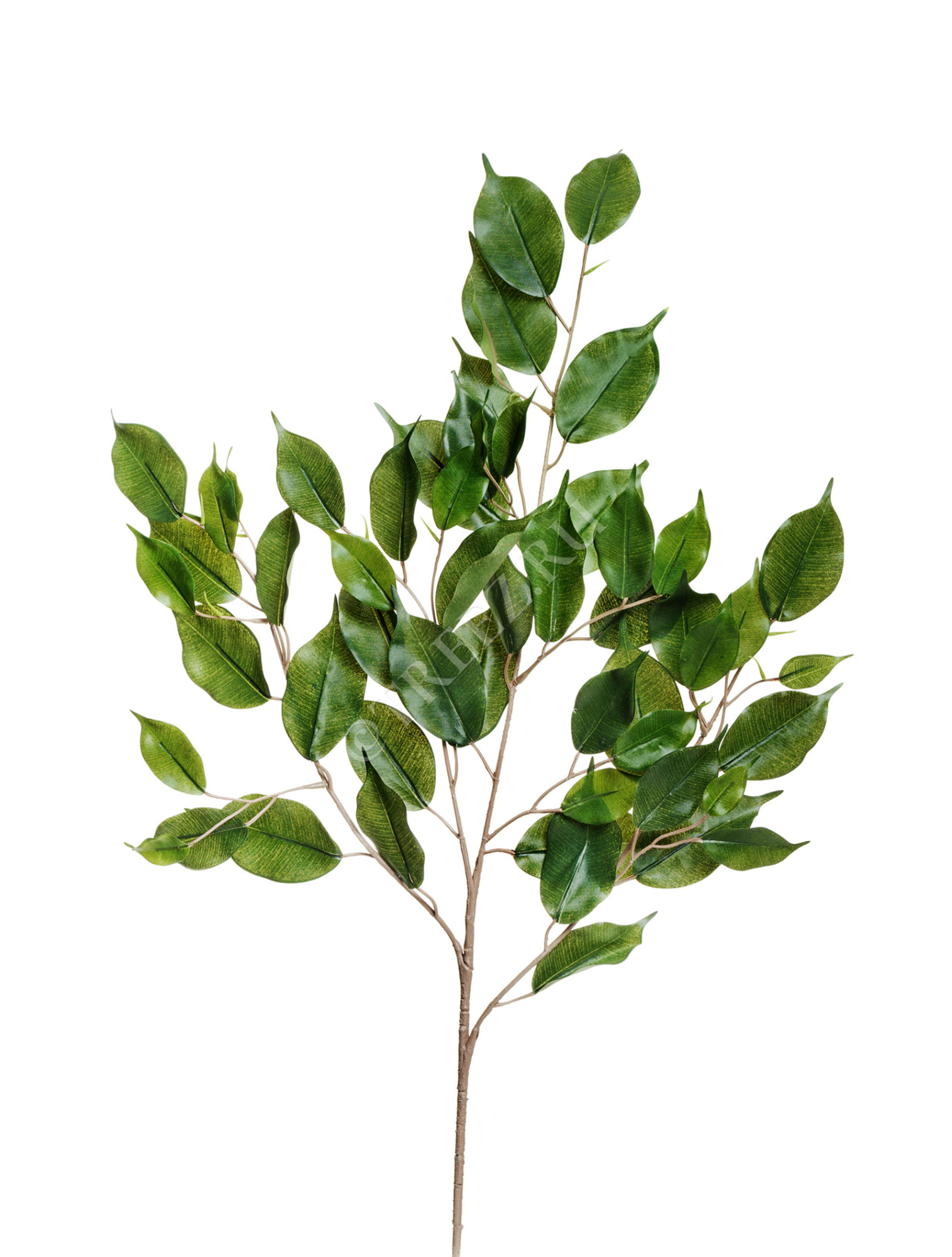 20.1618N Ветка фикуса Бенджамина 75 см Цветочная коллекция 