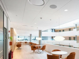 Rockfon Потолочные панели из каменной ваты Design bianco