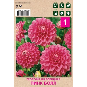 Георгина шаровидная пинк болл 1 шт 82549922 STLM-2194099