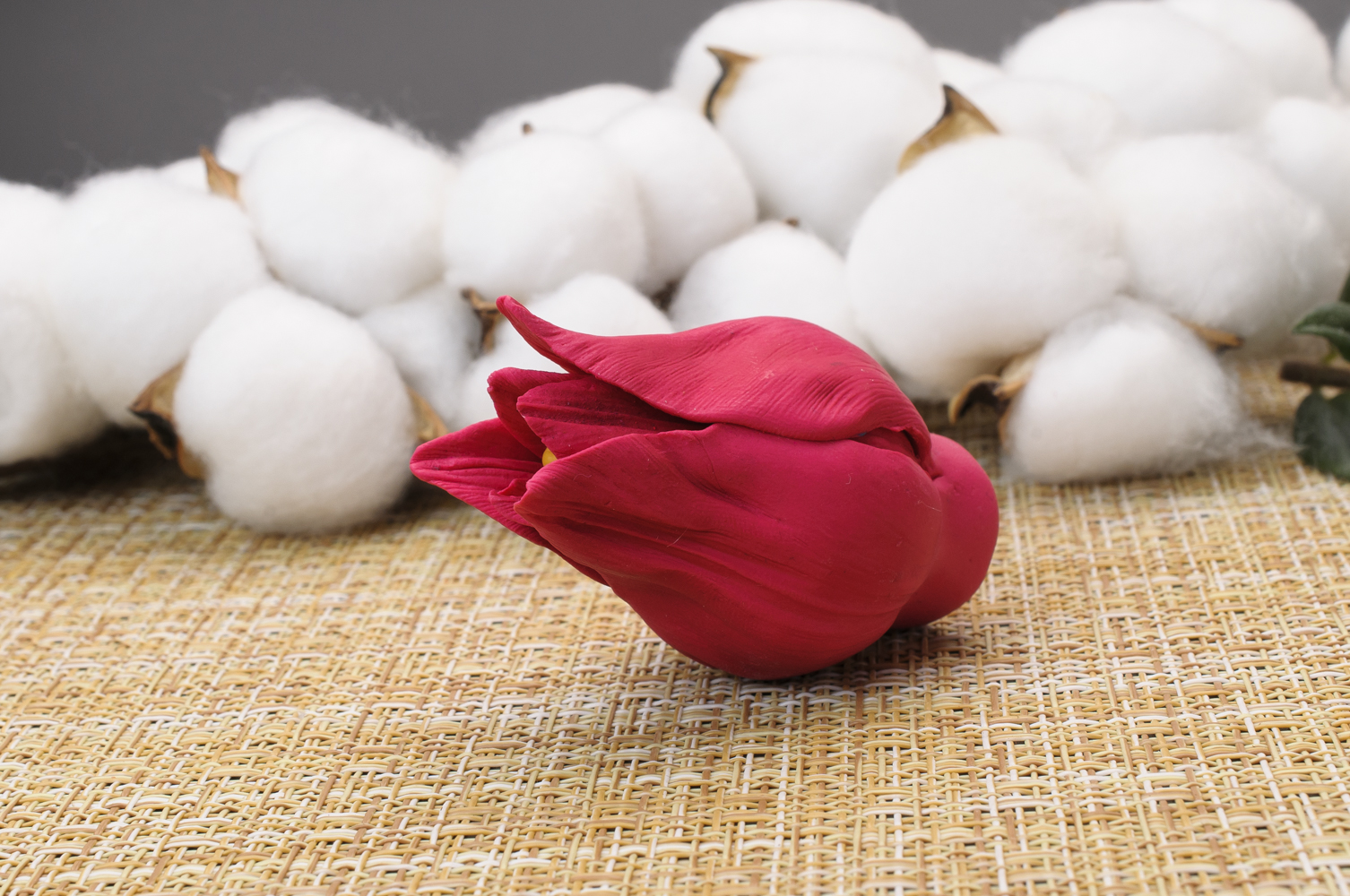 10651 Форма "Тюльпан Триумф S" силикон HobbyPage 