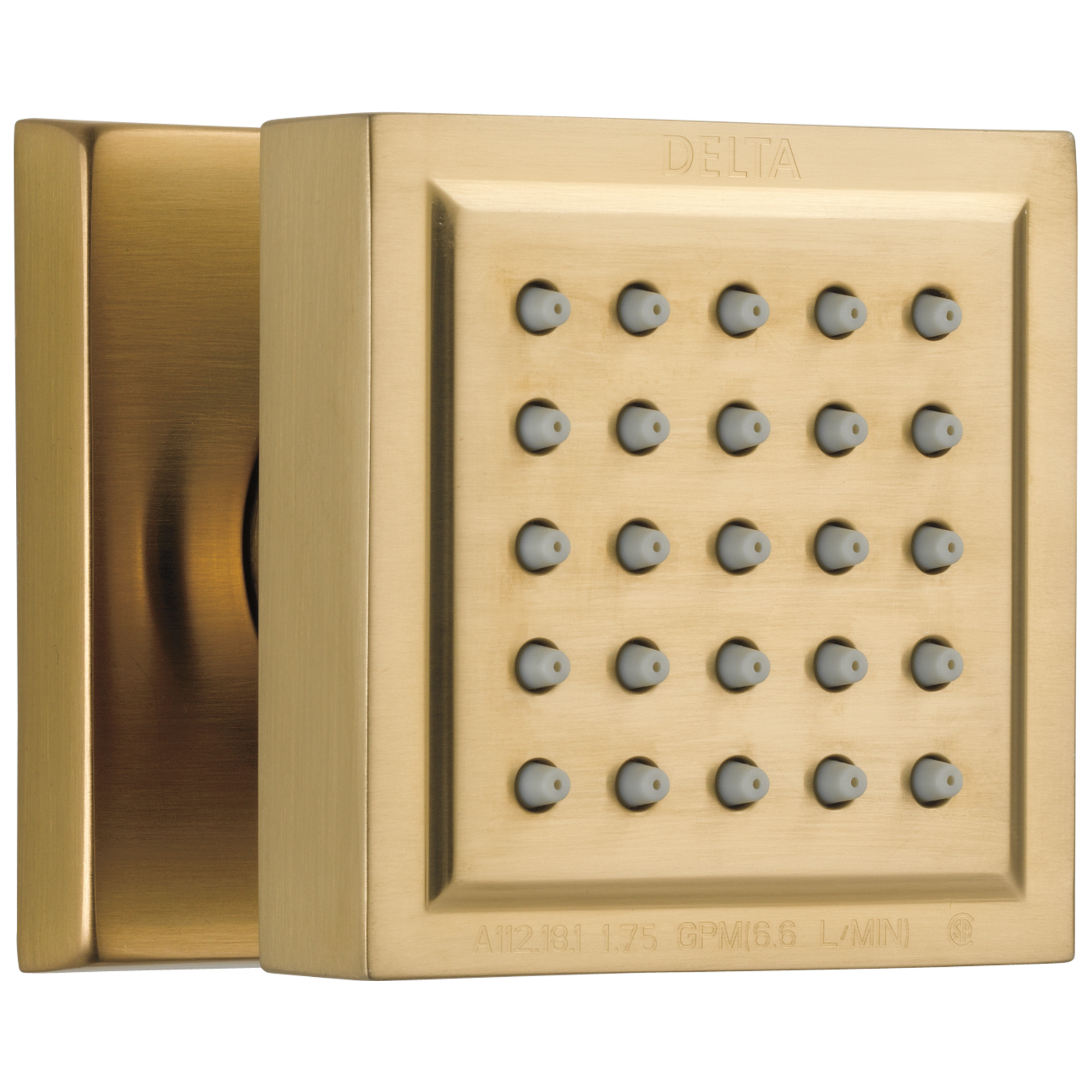 50150-PN Спрей для тела для поверхностного монтажа Delta Faucet Delta Полированный никель