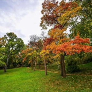 WP01374 Фотообои Verol Фотообои decoline 1х1 м