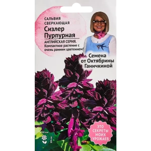 Семена цветов Семена от Октябрины Ганичкиной сальвия Сизлер пурпурный 89347831 STLM-2073930