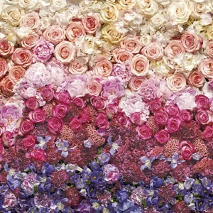 8-965-Intense Фотообои Komar Imagine Edition 2 254х368 м