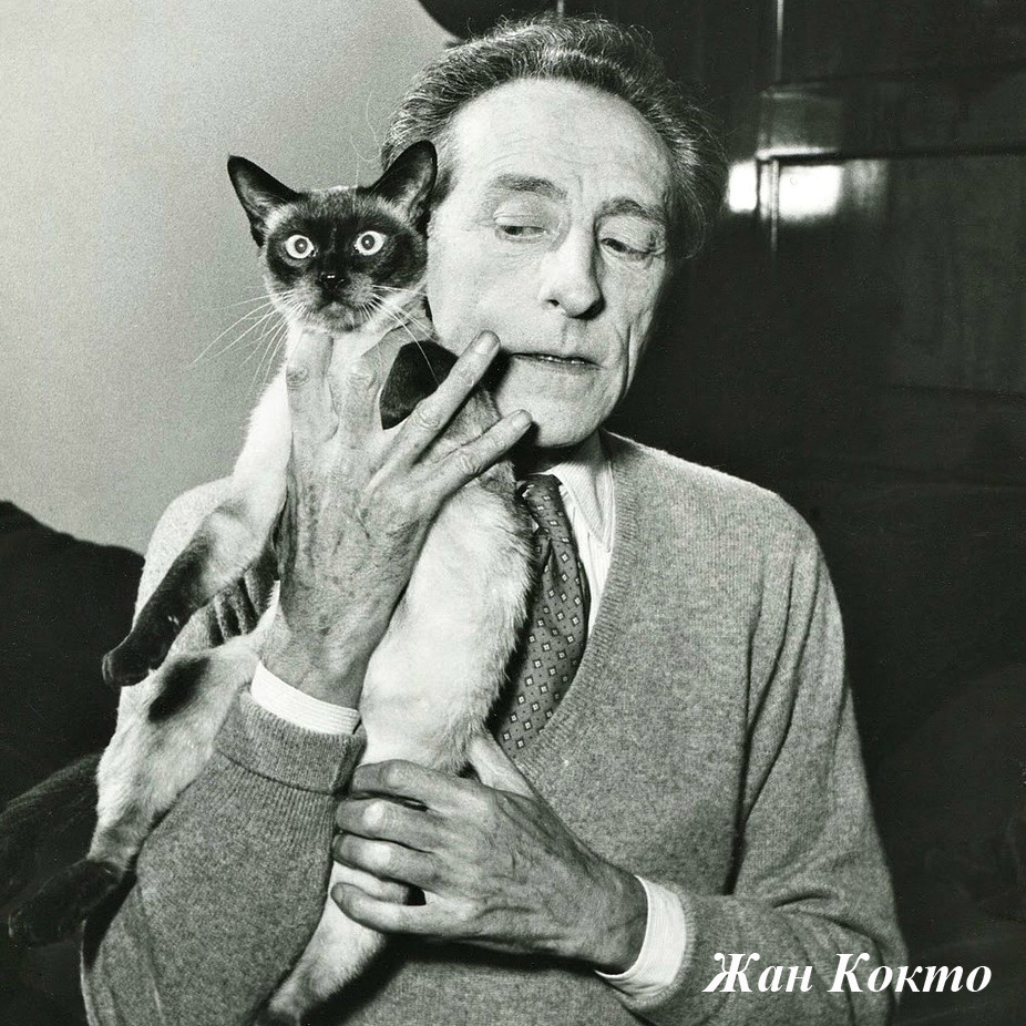 4314304 Стул «Душа дома» Object Desire  - Вид №14