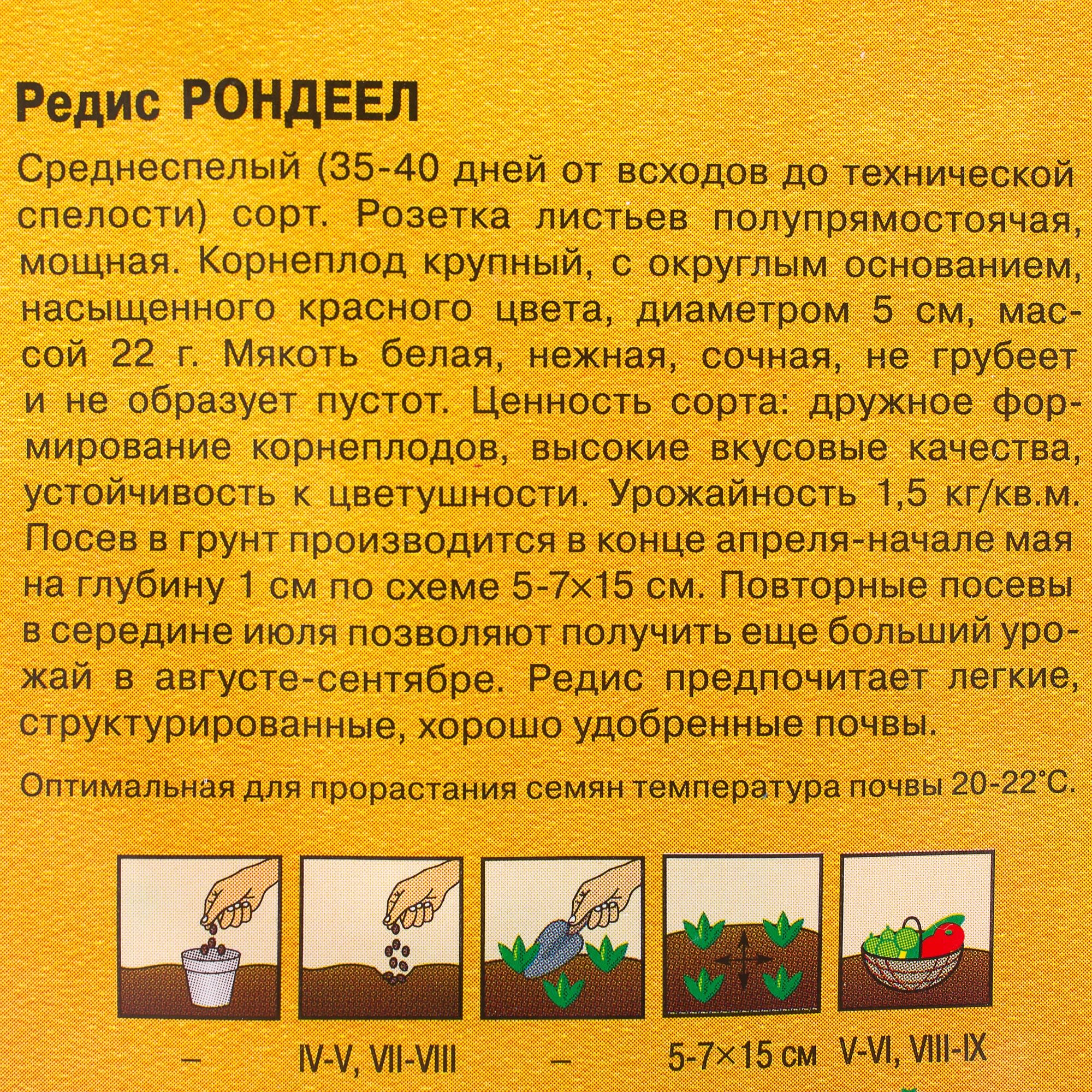 81933346 Семена Редис «Рондеел» 1 г, (Голландия) Santreyd  - Вид №2