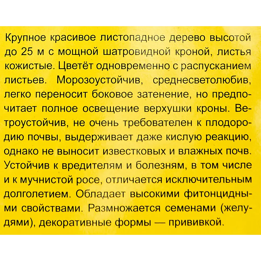 Дуб красный h35 см 89353400 STLM-2067506 Santreyd  - Вид №2