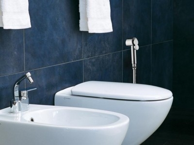 C98001 Гигиеническая лейка Paloma BOSSINI  - Вид №1