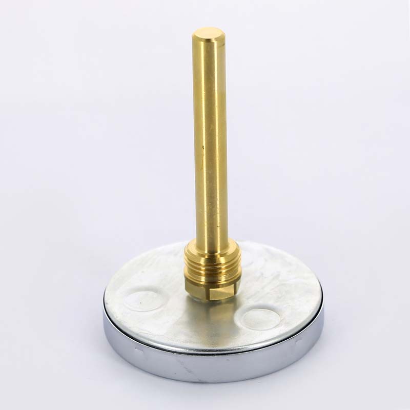 Термометр биметаллический F+R801 80мм с погружной гильзой WATTS Ind 120 град.C гильза 100мм 10005950 - Вид №3