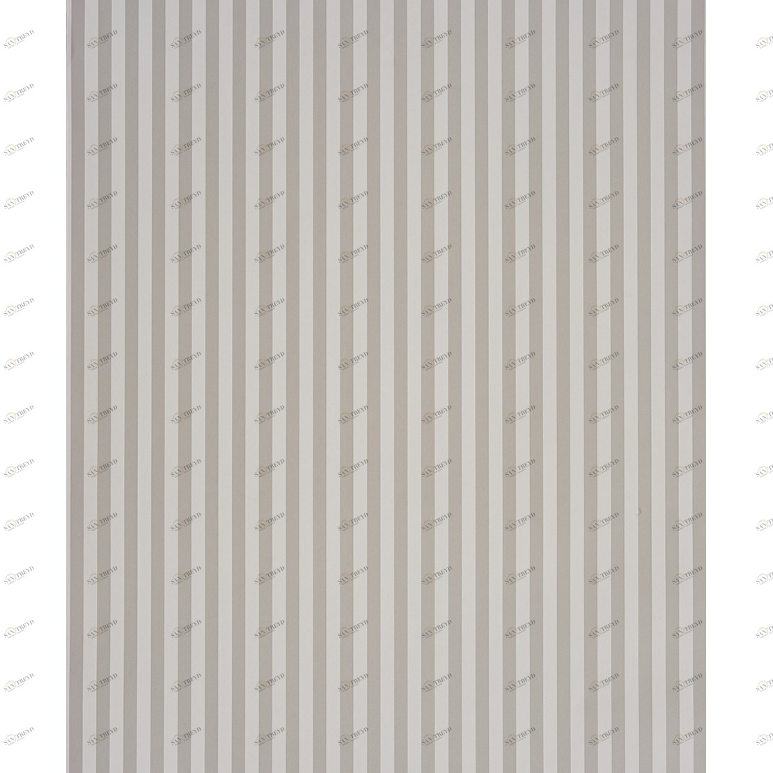 Рулон обоев ALICE & PAUL AEP18899101. Основа Casadeco