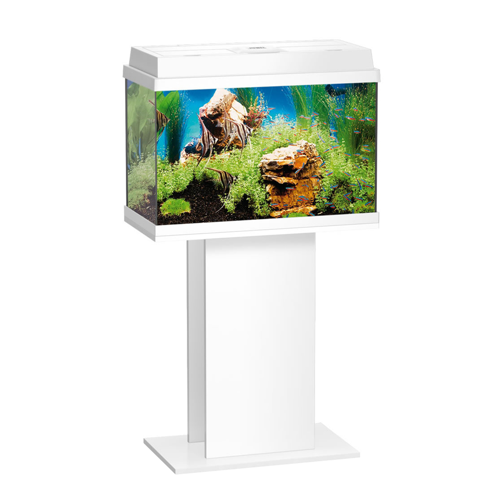ПР0041456 Подставка под аквариум Primo 60/70, Rekord 600/700, Korall белая (White) 60x31x62см без двери JUWEL 