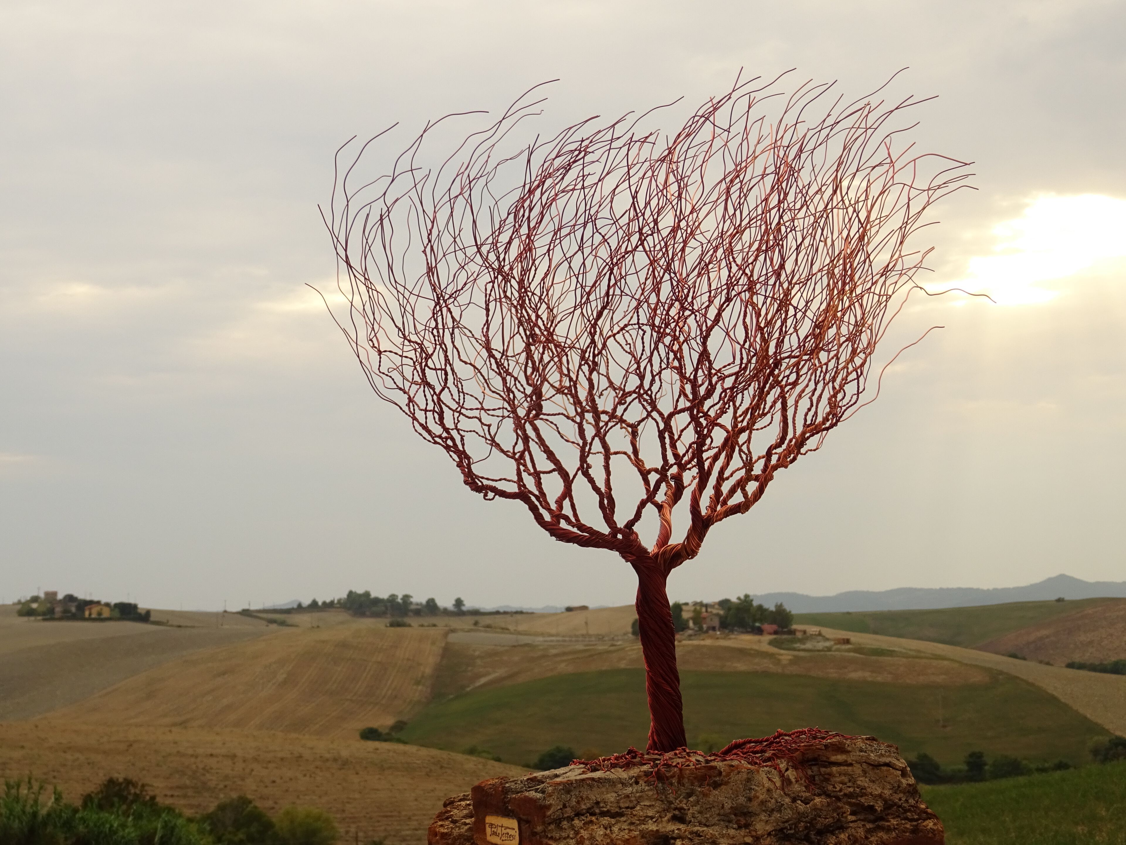 Скульптура из алюминия и оливкового дерева Mosche Bianche Zen Bonsai ARCH-00115115