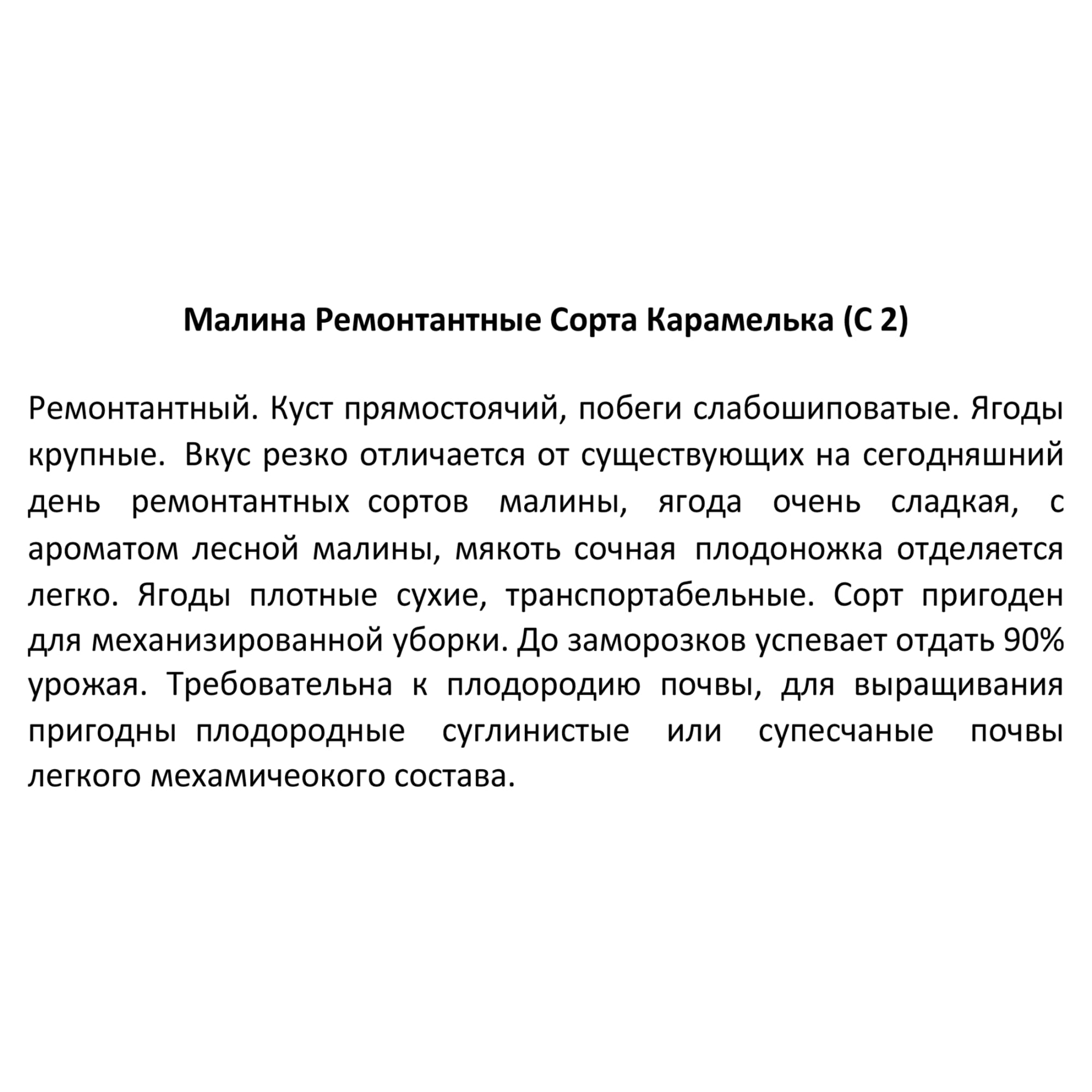 82585427 Малина ремонтантная «Карамелька» 17x30 см Santreyd  - Вид №1