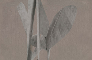 Обои с поддержкой d. ecodura™