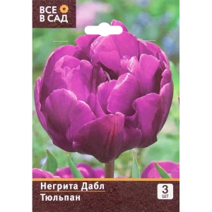 Тюльпан «Негрита Дабл» размер луковицы 10/11, 3 шт. 82665832 STLM-2116838