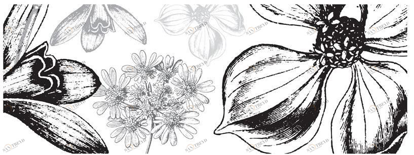 The NapKing Бегун в лино Stentor sun-id-1375928