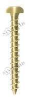 Винт TM 02 50 025 TM02 Tecfi 5 х 25 